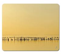1art1 Oiseaux Cormorans Au Crépuscule Tapis De Souris 23x19 cm