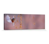 1art1 Oiseaux Poster Impression sur Toile Mésange Noire en Vol vers des Baies d'Argousier Affiche Murale XXL Encadrée | Tendue sur Cadre en Bois | Tableau 150x50 cm