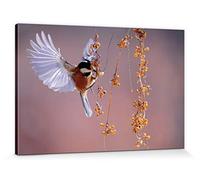 1art1 Oiseaux Poster Impression sur Toile Mésange Noire en Vol vers des Baies d'Argousier Affiche Murale XXL Encadrée | Tendue sur Cadre en Bois | Tableau 120x80 cm