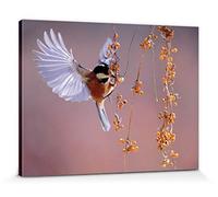 1art1 Oiseaux Poster Impression sur Toile Mésange Noire en Vol vers des Baies d'Argousier Affiche Murale XXL Encadrée | Tendue sur Cadre en Bois | Tableau 80x60 cm