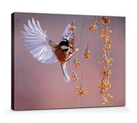 1art1 Oiseaux Poster Impression sur Toile Mésange Noire en Vol vers des Baies d'Argousier Affiche Murale XXL Encadrée | Tendue sur Cadre en Bois | Tableau 40x30 cm