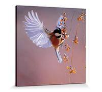 1art1 Oiseaux Poster Impression sur Toile Mésange Noire en Vol vers des Baies d'Argousier Affiche Murale XXL Encadrée | Tendue sur Cadre en Bois | Tableau 70x70 cm