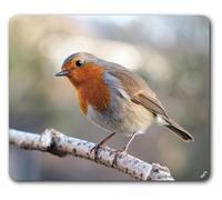 1art1 Oiseaux Rouge-Gorge sur Une Branche Tapis De Souris 23x19 cm