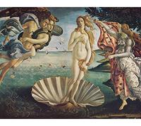 1art1 Sandro Botticelli Poster La Naissance De Vénus, 1483-1485 Affiche Reproduction 50x40 cm