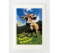 1art1 Vaches Poster Vie De Vache Affiche Encadrée avec Passe-Partout Élégant | Images Murales | dans Un Cadre Photo 40x30 cm