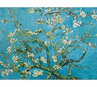 1art1 Vincent Van Gogh Poster Branche D'Amandier en Fleurs, 1890 Affiche Reproduction 80x60 cm