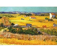 1art1 Vincent Van Gogh Posters XXL La Plaine De La Crau avec La Ruine De Montmajour, 1888 Affiche 120x80 cm