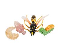 1Ensemble Insecte Réaliste Cycle de Vie de Guêpe pour Garçon Fille Éducatif et Décoratif pour Exploration et Apprentissage pour Chambre