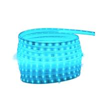 1fortunate Bande lumineuse LED 5 m/10 m/15 m/20 m, AC 220 V 2835 SMD, étanche, éclairage d'extérieur, néon, for la maison, la cuisine, le meuble TV(Ice Blue,20M)