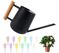 1L Arrosoir Plante Interieur Noir, Petit Arosoir à Long Bec en Acier Inoxydable, Arosoir de Métal à Poignée en Bois avec 12 Étiquettes Jardin pour Plantes en Pot Orchidées Fleurs Plantes d'Intérieur