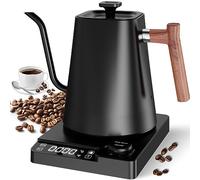 Bouilloire électrique col de cygne avec cafetière et théière en acier inoxydable, contrôle de la température, chauffage rapide, température variable, 1 litre