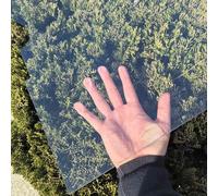 1mm Transparent Plaque Polycarbonate Serre Jardin, 80cm Largeur Feuille de Plexiglass Souple, Panneaux Panneau de Toit en Fibre de Verre pour Auvent Extérieur Carport Remplacement(70x1000cm)