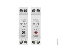 1P 1P+N Smart Circuit Breaker Time Relay Switch Remote Control IINKUEYK(E-W-e-Link,32A)