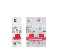 1P 2P DC MCB 600V Circuit Breaker Battery Switch DC MCB Short Circuit Overload Protection Solar Photovoltaic PV 100A 125A NWPNLXEA(1p,100A)