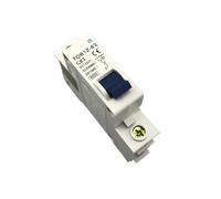 1P 63A DC 125V Circuit breaker MCB BIANMTSW