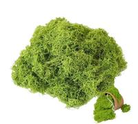 1pc 100g Mousse Artificielle Vert Clair, Mousse Artificielle Décoration Mousse d'Islande, Fausse Herbe Réutilisable Extérieure Réaliste Douce, Mousse Miniature pour Décoration de Fleurs, Pépinière DIY