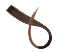 1pc All Long Straight Color Hair Piece Extensions Clip In Highlight Rainbow Streak Pink Synthetic Strands On Clips(27/613)