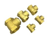 1pc Brass Swing Check Valve 1/2" to 2" Female BSP Threads - Lead-Free Hexagonal Design for Plumbing & Irrigation(1/2 inch)