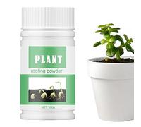 1PC Hormones De Bouturage - Poudre D'enracinement pour Boutures De - Poudre D'enracinement pour Boutures - Poudre D'enracinement Succulente - Enracinement RapiPour Les Poudre Croissance 100g