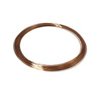 MMLFX 1PC Phosphore Bronze Diamètre de Fil 0,1 mm 0,2 mm 0,3 mm 0,4 mm 0,5 mm 0,6 mm 0,7 mm 0,8 mm 1 mm (Size : 0.2x2m 1pc)