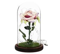 1PC Rose Glass Dome LED Flower décor coloré de Bureau intérieur