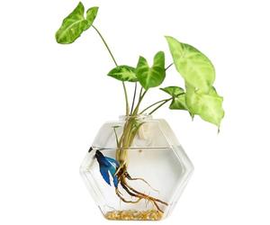 1pc wall jardinière hydroponique de propagation des plantes hexagonales mures de plante suspendue terrarium transparent en verre bricolage de propagation des plantes pour le bureau à domicile, g