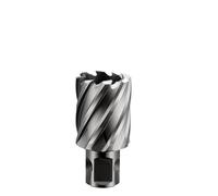 1Pcs 12-60mmx25mm HSS-E Annular Cutter Hole Saw Core Drill Bit for Magnetic Drill Universal/Weldon/Fein Quick-in Shank(16x25)