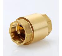 1pcs NPT Laiton Filetage Femelle En Ligne Clapet Anti-retour À Ressort 25 Mm De Diamètre 200WOG, For L'amélioration De L'habitat Contrôle De L'eau Unidirectionnel Clapet Anti-retour ( Size : 1l1 Inch