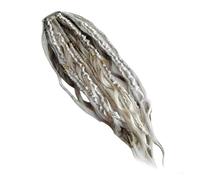 1pcs Queue De Cheval Élastique Dreadlock for Le Style pour Femmes | Y compris les vagues bou s et éparses. Ajustement confortable.(White)