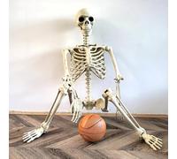 1pieces Halloween Squelette Posable | Avec Des Articulations Mobiles | Ossements Squelettes Humains | Pour Halloween Hanted House Party Accessoires En Intérieur Décoration | 35.43x9,45 Pouces