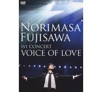 1st Concert Tour:Voice of Love [Import allemand]