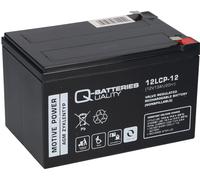 1X Accumulateur 12V-13Ah Pb Batterie Gel 12LCP-12 QB