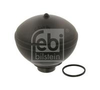 Ferdinand Bilstein Sphère pneumatique de suspension 38289 essieu arrière gauche