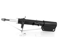 1x Amortisseur à Gaz Avant Droite pour BMW X5 2000-2006