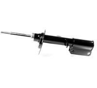 1x Amortisseur à Gaz Avant Gauche pour BMW X5 2000-2006