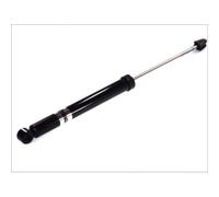 1x Amortisseur Magnum Technology AGG080MT convient pour FORD