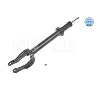 1x Amortisseur MEYLE 026 625 0016 convient pour MERCEDES-BENZ