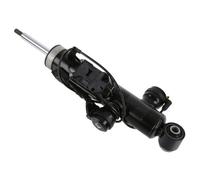 1x Amortisseur SACHS 319 055 convient pour BMW