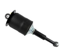 1x Amortisseur SACHS 319 560 convient pour MAN