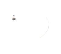 Ampoule, éclairage de virage BOSCH H7 Gigalight Plus 150% 12V, 55W