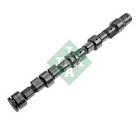 INA 428 0049 10 Arbre à came