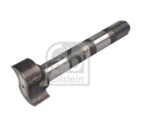 1x Arbre de frein, frein à tambour FEBI BILSTEIN 181576 convient pour MAN