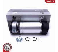1x Armortisseur pneumatique ESEN SKV 58SKV063 convient pour BMW