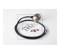 1x Capteur, pression de carburant PE Automotive 080.123-00A convient pour