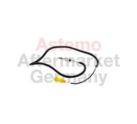 ASTEMO 2505530 Palpeur de température des gaz