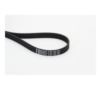 1x Courroie trapézoïdale à nervures CONTINENTAL CTAM 6PK1120 convient pour VW