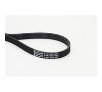 1x Courroie trapézoïdale à nervures CONTINENTAL CTAM 6PK1555 convient pour VW
