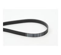 1x Courroie trapézoïdale à nervures CONTINENTAL CTAM 6PK1580 convient pour VW