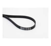 1x Courroie trapézoïdale à nervures CONTINENTAL CTAM 6PK1698 convient pour VW