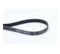 1x Courroie trapézoïdale à nervures CONTINENTAL CTAM 6PK2155 convient pour VW